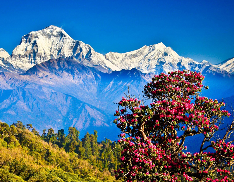 Popular Hill Stations in Nepal