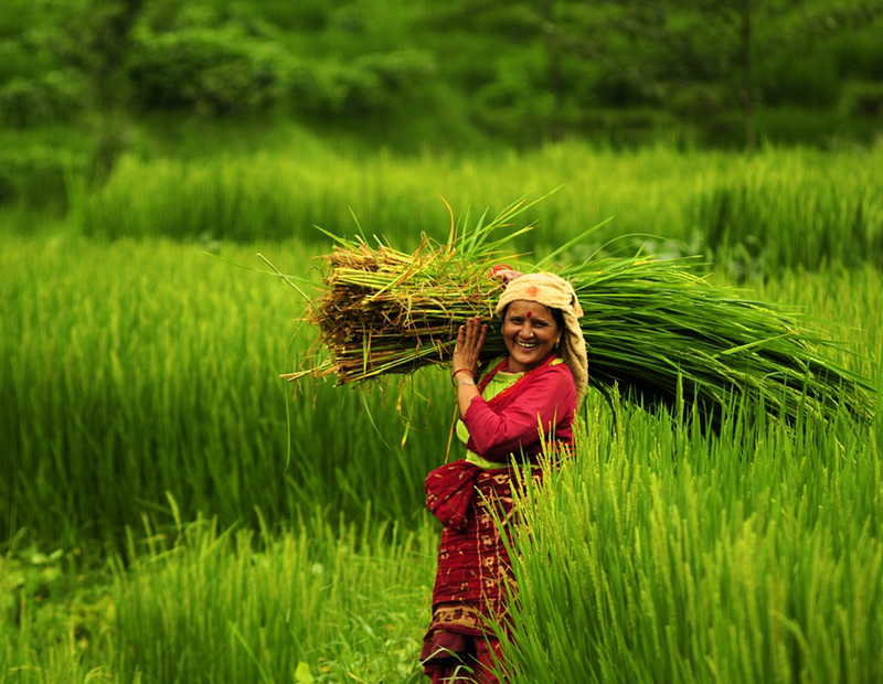 Meet Happy Farmers of Kathmandu Valley