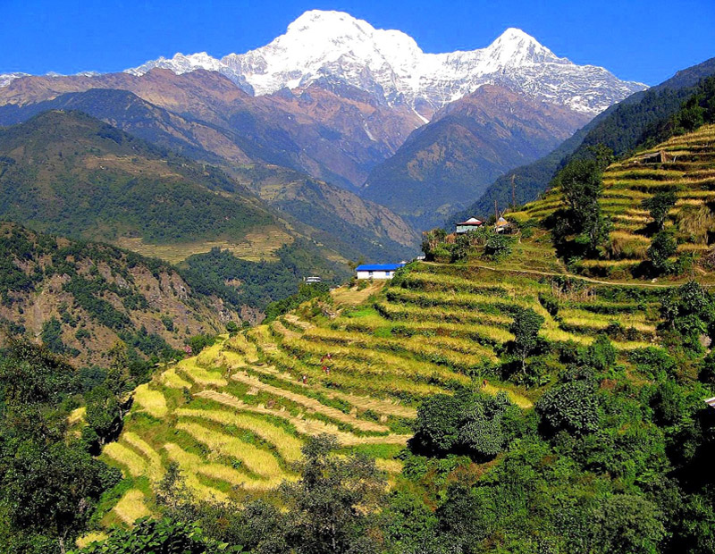 Nepal Multi Activity Tour - 15 Days