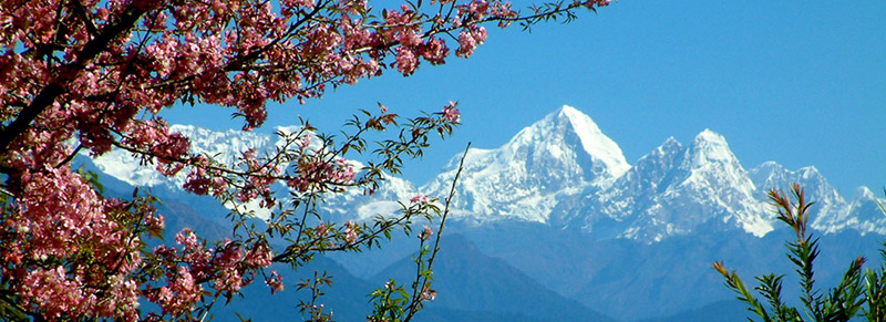 Shivapuri Hill