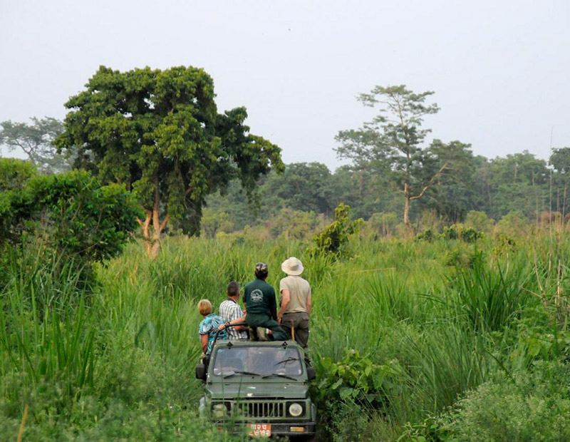 Chitwan Jungle Safari Tour