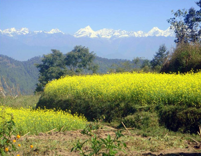 Kathmandu Valley Short Hike