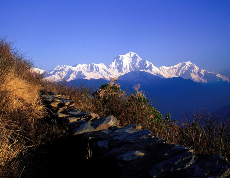 Ghorepani Poonhill Trek